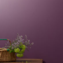 Load image into Gallery viewer, **Next Day Delivery** Boujee Wall Paint 2.5L