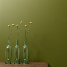 Load image into Gallery viewer, Constance Moss Trim Paint 500ml