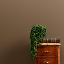 Load image into Gallery viewer, **Next Day Delivery** Drama Llama Trim Paint 500ml