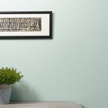 Load image into Gallery viewer, **Next Day Delivery** Little Duckle Trim Paint 500ml