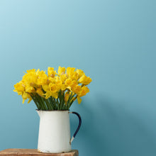 Load image into Gallery viewer, **Next Day Delivery** Santorini Trim Paint 500ml