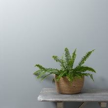 Load image into Gallery viewer, **Next Day Delivery** Seagull Trim Paint 500ml