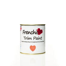 Load image into Gallery viewer, **Next Day Delivery** Earthy Trim Paint 500ml
