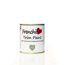 Load image into Gallery viewer, Green with Envy Trim Paint 500ml
