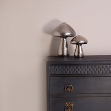 Load image into Gallery viewer, Stone in Love Trim Paint 500ml