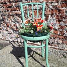 Load image into Gallery viewer, Apple of my Eye