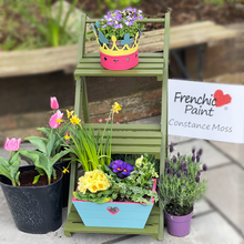 Load image into Gallery viewer, Constance Moss