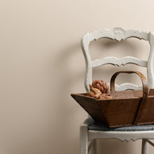 Load image into Gallery viewer, Pampas Trim Paint 500ml
